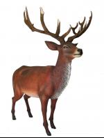 Arreslee huren